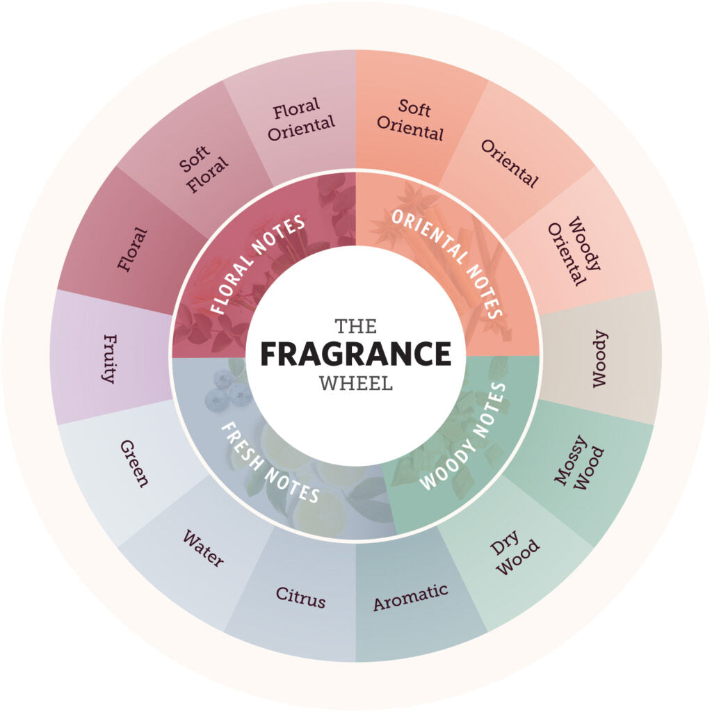 The Fragrance Wheel: Understanding Scent Families and How They Shape Your Experience